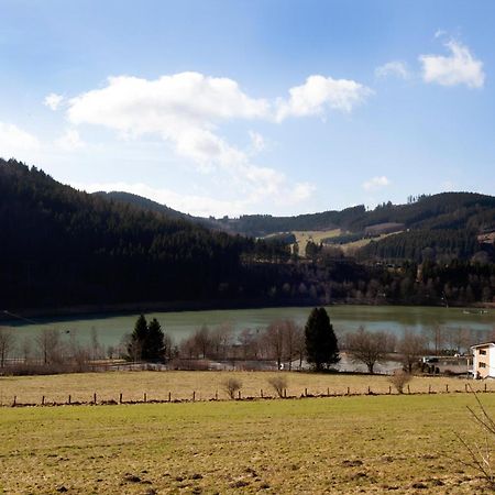 Apartamento Fewo Schlossberg Niedersfeld Winterberg Exterior foto