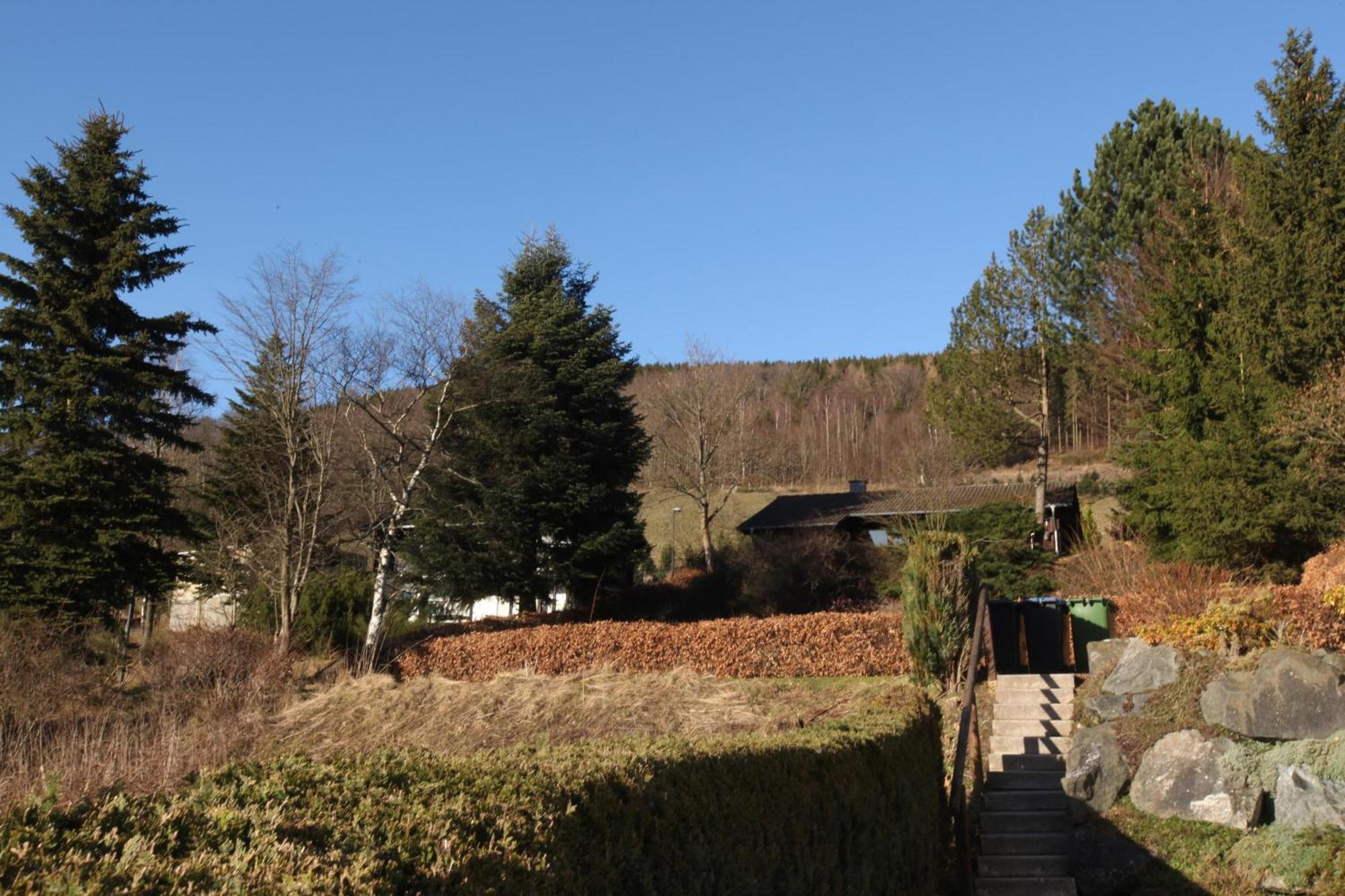 Apartamento Fewo Schlossberg Niedersfeld Winterberg Exterior foto